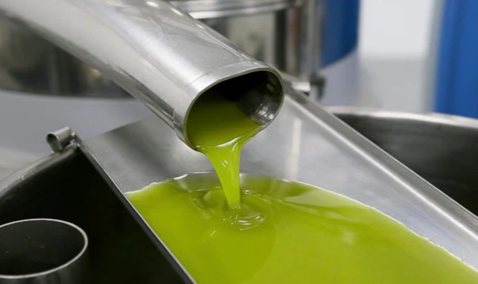 Nedir Bu Erken Hasat Zeytinyağı?